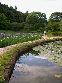 川村記念美術館池